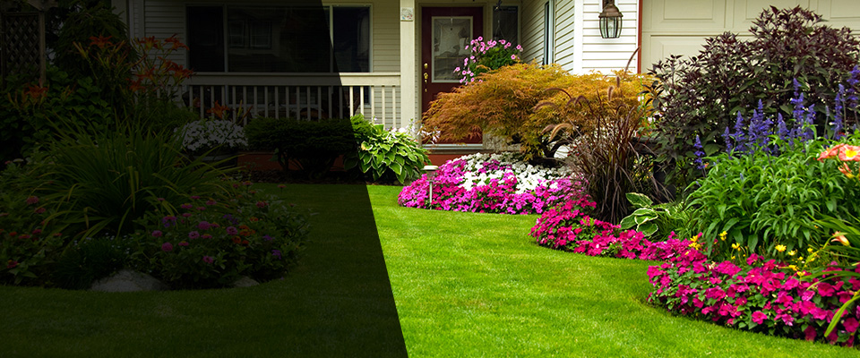 Archer Landscapers