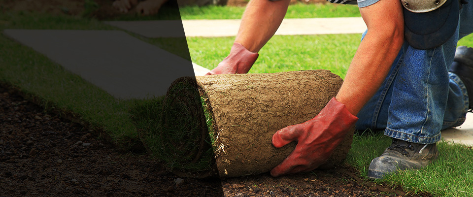 Archer Landscapers
